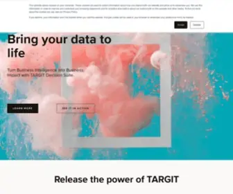 Targit.com(Business Intelligence and Analytics software for everyone) Screenshot