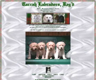 Tarrahlabs.com(Tarrah Labrador Retrievers Orlando Breeder Lab puppies) Screenshot