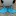 Tarynpivots.com Favicon