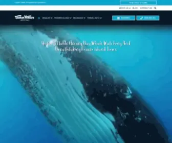 Tasmanventure.com.au(Hervey Bay Whale Watching) Screenshot