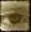 Tasrit.im Favicon