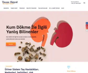 Tassizhayat.com(Taşsız Hayat) Screenshot