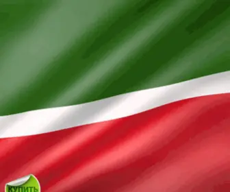 Tataronline.ru(Татарстан ОнЛайн) Screenshot