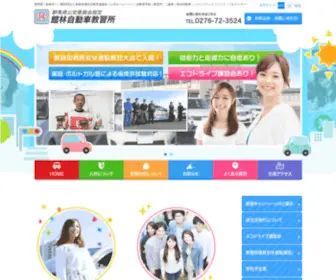 Tatebayashi-DS.com(自動車学校) Screenshot