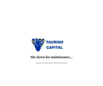 Taurinocapital.com(Taurino Capital) Screenshot