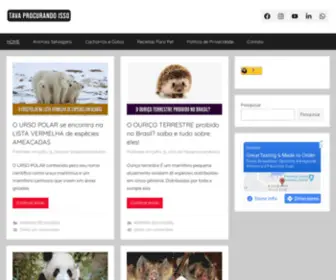Tava-Procurando-Isso.com.br(Tava Procurando Isso) Screenshot