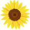 Tawan-Thaimassage.com Favicon