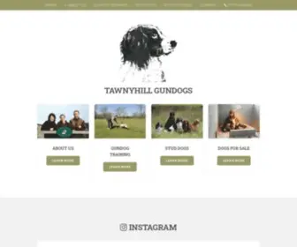 Tawnyhillgundogs.co.uk(Tawnyhill Gundogs) Screenshot