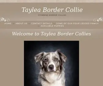 Tayleabordercollies.com(Taylea Border Collie) Screenshot