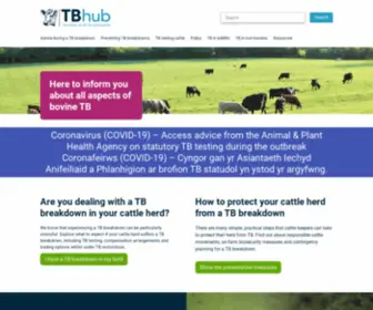 Tbhub.co.uk Screenshot