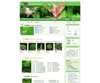 TBS-Aqua.com(翠湖水草網站) Screenshot