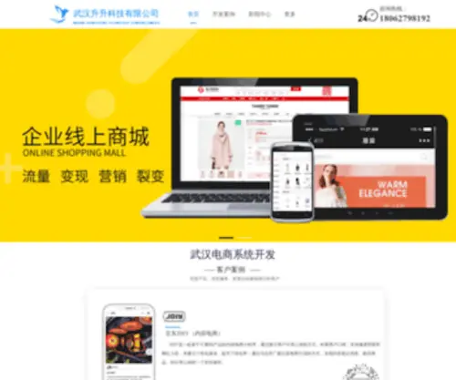 Tcrise.com(武汉电商小程序APP开发) Screenshot