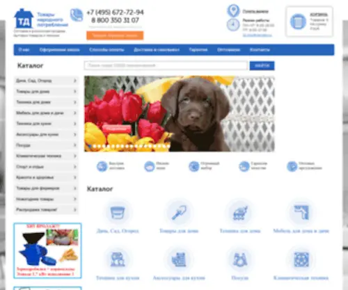 TD-TNP.ru Screenshot
