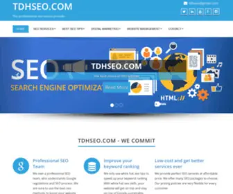 TDhseo.com(The professional seo service provider) Screenshot