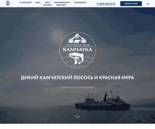 Tdkamchatka.ru(Торговый дом Камчатка) Screenshot