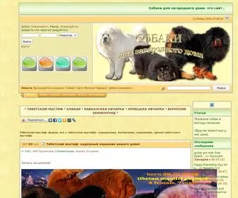 Tdogs.ru(Тибетский мастиф) Screenshot