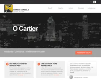 Tdrexpertsconseils.com(TDR Experts) Screenshot