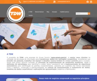 TDwbi.com.br(TDW BI Consulting) Screenshot