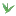 Teacampaign.com Favicon