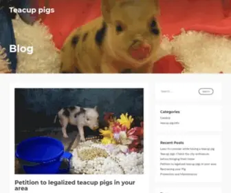 Teacuppigs.org(Petition for all states to allow them as pets) Screenshot