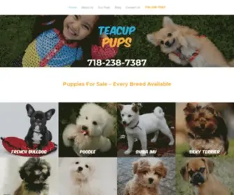 Teacuppups.com(Teacup Puppies & Larger Breeds for Sale in Brooklyn) Screenshot