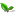 Teaforum.org Favicon