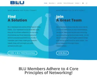 Teamblu.org(Business Leaders Unleashed) Screenshot