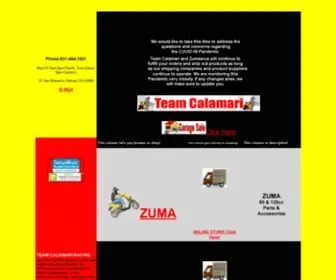 Teamcalamari.com(Zuma Scooter Parts and YSR Parts) Screenshot