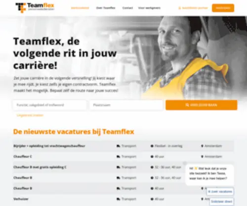 Teamflex.nl(Home) Screenshot