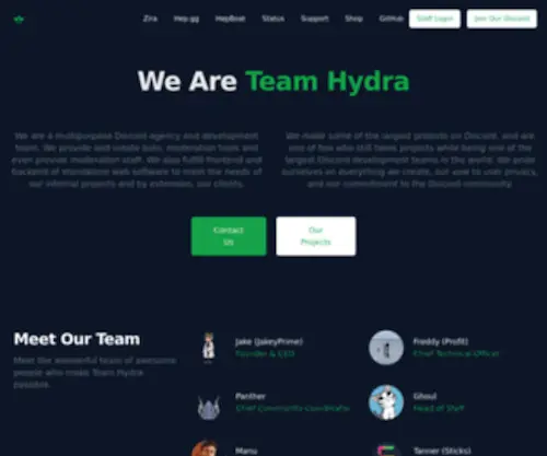 Teamhydra.dev(Home) Screenshot
