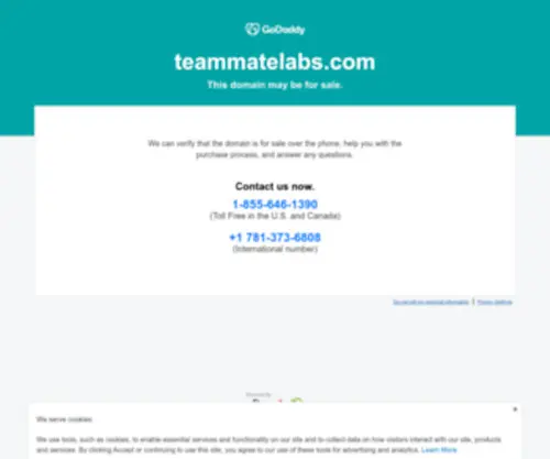 Teammatelabs.com(Teammatelabs) Screenshot