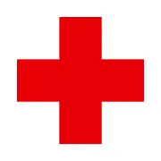 Teamsachsen.de Favicon