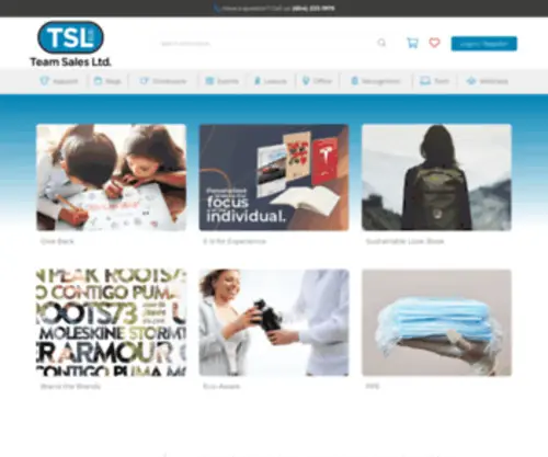 Teamsalesltd.com(Team Sales Ltd) Screenshot