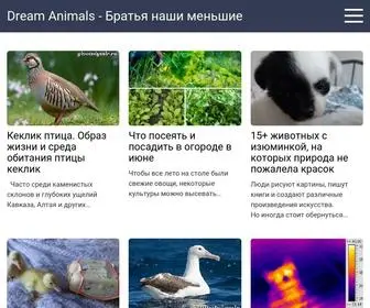 Teamspro.ru(Dream Animals) Screenshot