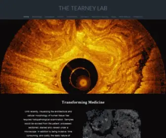 Tearneylab.org(THE TEARNEY LAB) Screenshot