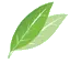 Teaworld.com.co Favicon