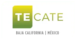 Tecate.travel Favicon