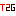 Tech2Globe.com Logo