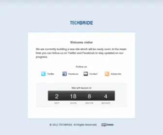 Techbride.net(Web services and solutions) Screenshot
