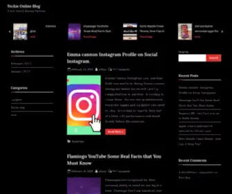Techieonlineblog.com(Techie Online Blog is a Tech related Blog sharing platform) Screenshot