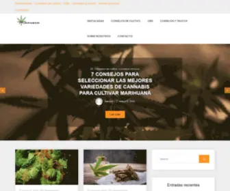 Techmart.es(Blog de cannabis) Screenshot