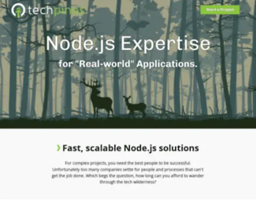 Techpines.com(Node.js Expertise for Real) Screenshot