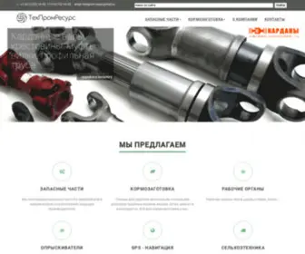 Techprom-Resurs.ru(ТехПромРесурс) Screenshot