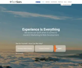 Techsors.com(Web Development Company) Screenshot