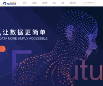 Techstar.com.cn(恒泰实达) Screenshot