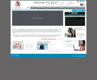 Techstosuit.com(Techs To Suit) Screenshot