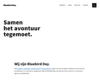 Techtwo.nl(Bluebird Day) Screenshot