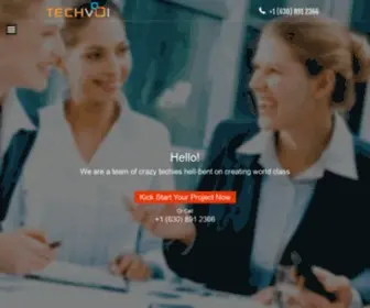 Techvoi.com(Web Design & Development) Screenshot