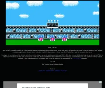Tecmobowl.org(Tecmo Super Bowl) Screenshot