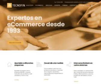 Tecnofin.com.mx(Desarrollo de sitios de comercio electrónico y tiendas virtuales) Screenshot